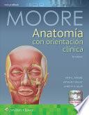 Libro Anatoma Con Orientacin Clnica/ Anatomy With Clinical Orientation