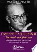 Libro Caminando en el amor