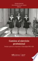 Libro Camino al ejercicio profesional