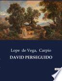 Libro DAVID PERSEGUIDO