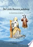 Libro Del cielo llueven palabras