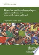 Libro Derechos ambientales en disputa: algunos estudios de caso sobre conflictividad ambiental