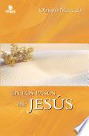 Libro En los pasos de Jesús