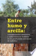 Libro Entre humo y arcilla: contaminación ambiental y sobrevivencia humana en la producción artesanal de ladrillos