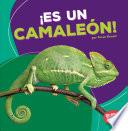 Libro Es un camalen / It's a Chameleon