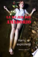 Libro La mujer del Amadorio