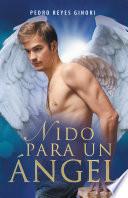 Libro Nido Para Un Ángel