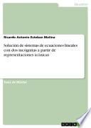 Libro Solución de sistemas de ecuaciones lineales con dos incógnitas a partir de representaciones icónicas